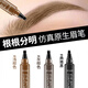 佰萃萊四叉眉筆防水防汗不掉色野生眉筆水眉筆官方旗艦店畫(huà)眉#淺棕色