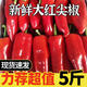 新鮮紅辣椒農(nóng)家大紅椒 時(shí)令蔬菜新鮮辣椒 做醬椒 剁椒辣椒紅椒5斤 5斤