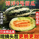 山東頭茬博洋9號甜瓜小香瓜蜜瓜現(xiàn)摘新鮮脆甜孕婦應(yīng)季水果一整箱 凈重4.8斤【大果300g起】