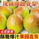 正宗紅香酥梨子現(xiàn)摘應當季香酥梨脆青雪貢冠梨孕婦新鮮水果整箱 紅香酥梨5斤【凈重4-4.5斤】