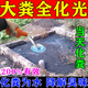 化糞池溶解劑強力化糞劑微生物化糞為水大便分解劑下水道旱廁堵塞 九瓶【買(mǎi)五送四】化糞不再丑