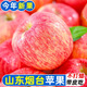 【真貨】正宗山東煙臺紅富士蘋果5斤新鮮水果冰糖心棲霞條紋蘋果R 【帶箱5斤精選裝】 【中果】