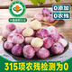 儲(chǔ)褚云南【有機(jī)】獨(dú)頭蒜紫皮大蒜精選新鮮蔬菜健康無(wú)農(nóng)殘有機(jī)調(diào)料食材 精選有機(jī) 500g 有機(jī)蒜瓣