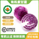 儲(chǔ)褚【有機(jī)紫甘藍(lán)】新鮮蔬菜沙拉菜 無農(nóng)殘紫包菜時(shí)蔬孕婦寶寶菜 有機(jī)紫甘藍(lán) 1500g 【3份*500g】