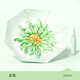 左都（ZUODU）遮陽(yáng)傘加大號(hào)防曬防紫外線彩膠大花太陽(yáng)傘女晴雨兩用折疊便攜雨傘 【翠菊】插畫彩膠upf50+晴雨兩用