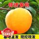 歐悟 黃桃樹苗 特大嫁接錦繡黃桃苗黃肉桃樹桃苗南北方盆栽地栽果樹苗 錦繡黃桃5年苗當(dāng)年結(jié)果