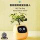 IVY情緒綠植萌寵機(jī)器人智能花盆栽桌搭擺件創(chuàng)意男生生日禮物女生 黃色+送植物