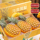 竹域金鉆鳳梨海南新鮮熱帶水果當(dāng)季大果無(wú)眼金菠蘿手撕鳳梨 精選大果8斤（3-4個(gè)裝）