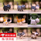 橙央小貓咪桌面擺件辦公室電腦顯示器屏幕工位車(chē)載裝飾品 小貓咪桌面擺件【9個(gè)裝】