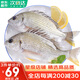 哆鮮生 活凍黃翅魚 野外海捕黃鰭鯛黃腳立魚 三去國(guó)產(chǎn)生鮮冷凍魚類 2-3條/袋 凈重400g