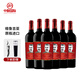 梅斯蒂亞（Mestia）【格魯吉亞原瓶進口紅酒】2021斯大林阿古娜半甜紅葡萄酒整箱6支