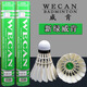 威肯（WECAN）黑威肯羽毛球比賽訓(xùn)練專業(yè)室內(nèi)外用球耐打穩(wěn)定 綠威肯77速 1筒