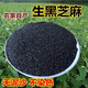 安小離生黑芝麻新貨飽滿無沙無染色農(nóng)家自種可榨油非炒熟黑芝麻 農(nóng)家自曬黑芝麻 500g*3袋