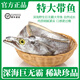 【超大帶魚】精品海釣特級大帶魚 鮮活冷凍深海魚類刀魚生鮮水產(chǎn) 2條（每條2斤）