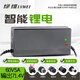 綠維鋰電池充電器60V72V71.4V84V5A67.2V2A充滿自停 T頭-60V5A【輸出71.4V5A】
