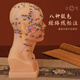 奕冀之彬頭部穴位經(jīng)絡(luò )模型四功能腧穴中醫針灸教學(xué)養生療按摩頸部加大刻字 30cm軟質(zhì)膚色頭部模型