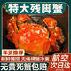 [鮮活凈重]大閘蟹螃蟹殘蟹公母特大殘蟹[性?xún)r(jià)比超高]產(chǎn)地直發(fā) 4兩左右公配3兩左右母1.5斤約6只