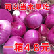 限時(shí)特惠】山東洋蔥蔥紫皮紅皮洋蔥現(xiàn)挖圓蔥頭正宗大果紫洋蔥新鮮 限時(shí)鉅惠：速搶//帶箱 5斤 -大果