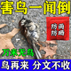 驅(qū)鳥神器盈滿田驅(qū)鳥劑驅(qū)鳥藥包農(nóng)田防鳥高效趕鳥麻雀鴿子香精包 一大包體驗裝【30小袋】