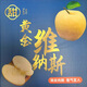 形果奶油蘋(píng)果冰糖心爆甜牛奶蘋(píng)果黃金奶油富士蘋(píng)果現摘現發(fā)新鮮好水果 精選5斤12枚【藍色禮盒裝】