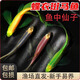 卡奇魚蝶翼斑馬魚 小型熱帶魚 觀賞魚 群游魚 好養(yǎng)耐活魚 淡水魚 活魚 練手蝶翼斑馬7條3-4cm隨機色