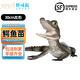 IGIFTFIRE鮮活小鱷魚活物鱷魚苗人工養(yǎng)殖小鱷苗魚苗茶鱷苗鱷龜苗小泰鱷 暹羅鱷苗【一條】30cm左右