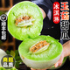 感光之水海南玉菇甜瓜  新鮮水果當季正宗冰淇淋蜜瓜小香瓜 順豐包郵白瓜 精選凈重8-8.8斤【2-5個】超值裝