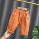 緞緞熊男童短褲夏裝薄款寬松休閑七分褲兒童夏季中褲寶寶韓版洋氣褲子潮 桔色 100 cm