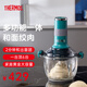 膳魔師（THERMOS）絞肉機(jī)家用輔食機(jī)料理攪拌機(jī)嬰兒多功能和面一體機(jī)電動(dòng)絞餡機(jī)國(guó)家補(bǔ)貼全自動(dòng)餃子肉餡打蒜器攪肉機(jī) 【全家頂配版】馬爾斯綠 2.5L
