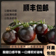 黑珍珠車(chē)厘子小番茄新鮮現摘巧克力生吃黑色小番茄山東特產(chǎn)紫番茄 雞尾酒番茄 3斤