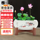 九千谷陶瓷花盆水仙盆睡蓮碗蓮銅錢(qián)草水培水養花卉綠植花盆帶底座3871