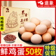 途象雞蛋特價(jià)新鮮農家谷養土雞蛋笨雞蛋散養蟲(chóng)草蛋家庭商用正宗鮮雞蛋 挑【農家土雞蛋50個(gè)】新鮮無(wú)添加
