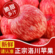 正宗陜西洛川紅富士蘋(píng)果水果新鮮脆甜冰糖心時(shí)令丑蘋(píng)果節慶禮盒 精選果5斤