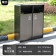 戶外二三四分類垃圾桶環(huán)衛(wèi)市政地產(chǎn)景區(qū)商用室內(nèi)不銹鋼果皮箱定制 大雙黑金-電鍍（可選禁煙款）