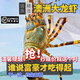 澳洲龍蝦大龍蝦青龍奧龍海鮮鮮活水產(chǎn)冷凍生鮮波士頓龍蝦花龍10斤 1000-1050g/只 0g(凈重)