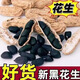 新貨正宗黑花生帶殼生吃云南特產小粒曬干新貨富硒黑花生 精選 富硒帶殼黑花生500g