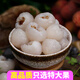 ALL DAY仲夏荔枝罐頭整箱新鮮無即食少添加水果罐頭添加劑糖水 仲夏荔枝540克*1罐【嘗鮮】