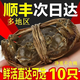 道樓鮮閣【活蟹】禮盒大閘蟹鮮活螃蟹滿(mǎn)黃公母蟹現貨凈重不含繩 2.2-2.5兩/只（六月黃全母蟹 6只