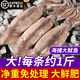鯨甘郎魷魚鮮活冷凍新鮮超大魷魚尤魚生鮮整只船凍燒烤鐵板商用海鮮水產(chǎn) 【免處理】去皮去臟魷魚凈重3斤