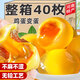 雞蛋變蛋40枚河南特產(chǎn)老式大皮蛋松花蛋整箱溏心新鮮農家涼拌即食 【超值】雞蛋變蛋40枚
