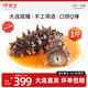 好參道大連直發(fā)深海遼刺參底播即食海參海鮮水產(chǎn)禮盒裝 500g 8-10只 御品