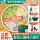 英氏（Engnice）面條嬰幼兒營(yíng)養加鈣英式寶寶營(yíng)養雙蛋白寬面試用裝兒童輔食旗艦款 【1盒】趣味面片200g