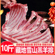 褚系嚴(yán)選【空運(yùn)】羊肉生鮮 原切小羔羊排腿 正宗藏地高原羊肉火鍋食材禮盒 藏地高原藏細(xì)羊 10斤 羊排