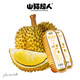 山貓超人泰國(guó)金枕榴蓮無(wú)核果肉100g/盒【15盒裝】