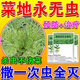 百蟲(chóng)清蔬菜專(zhuān)用殺蟲(chóng)劑無(wú)毒菜園除蟲(chóng)劑菜地蘿卜白青菜辣椒防蟲(chóng)顆粒 3袋裝【蟲(chóng)卵雙殺】