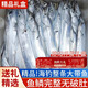 朵芙【中秋禮盒】整條帶魚 5斤凈重大號帶魚刀魚新鮮整箱渤海帶魚海鮮 【5斤嘗鮮】釣帶6-9兩/條
