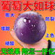 科沃華葡萄膨大劑巨峰葡萄果實果大一圈葡萄苗樹苗地下根莖膨大素種葡萄 900ml 3瓶 【膨大增甜】買2 送1