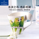唯寶（Villeroy Boch）時(shí)尚波浪咖啡杯陶瓷杯插畫(huà)手繪動(dòng)物馬克杯水杯情侶杯禮物褐喉鸚哥