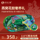 傾海之宴 燕窩花膠滋補奢養禮1.35kg 補品營(yíng)養品產(chǎn)婦送長(cháng)輩禮物 團購福利