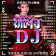 2025抖音流行新歌DJ網(wǎng)絡(luò)熱門音樂U盤網(wǎng)紅歌曲dj重低音舞曲車載u盤 16G-1680首DJ歌無視頻-含新歌 熱門新歌DJ/抖腿神曲/EA7重低音